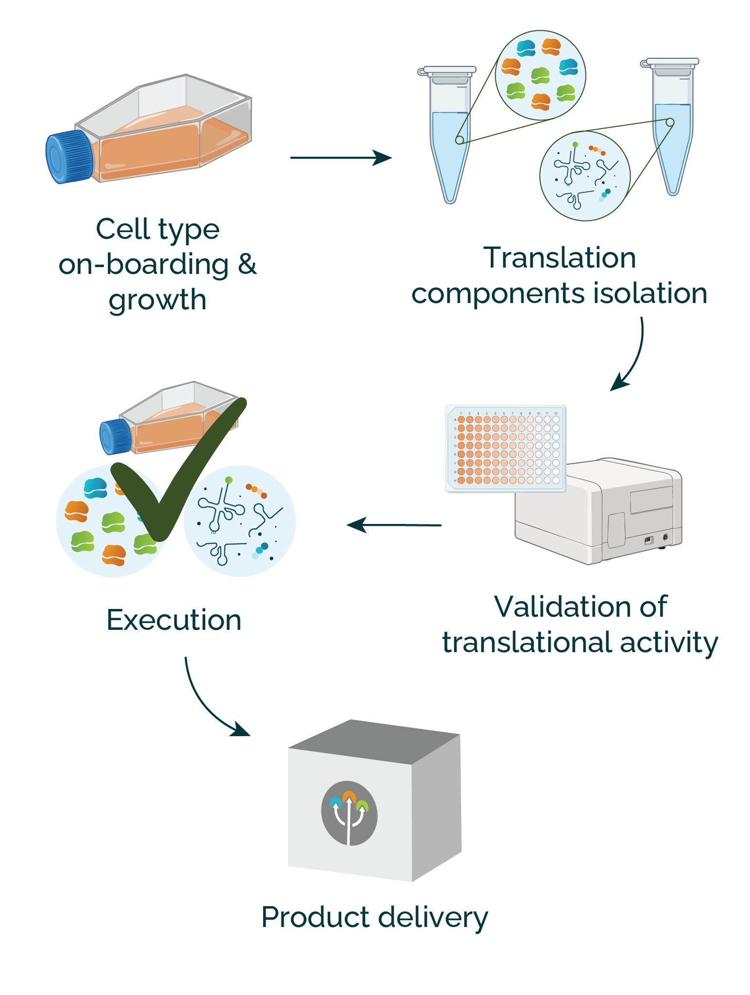 In_vitro_translation_service